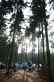 FinnFoto_204482